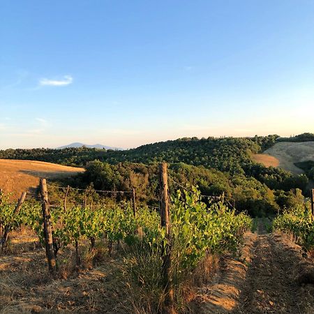 Podere Sole Trequanda Exteriör bild