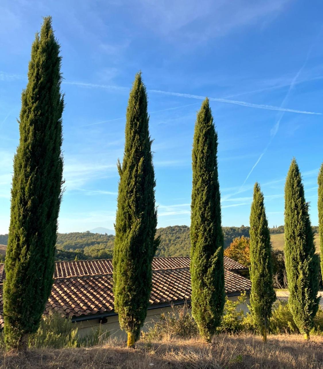 Podere Sole Trequanda Exteriör bild