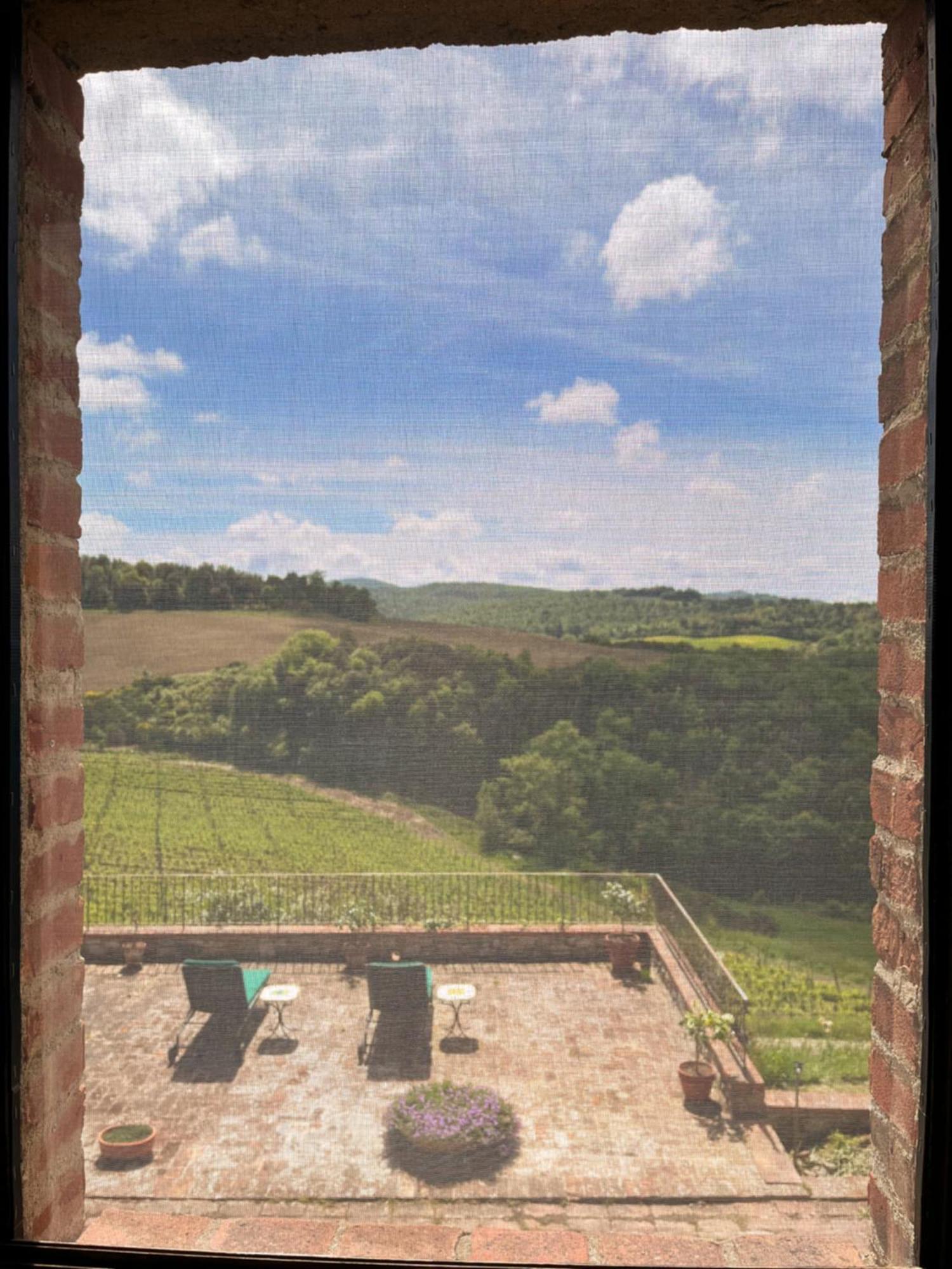 Podere Sole Trequanda Exteriör bild