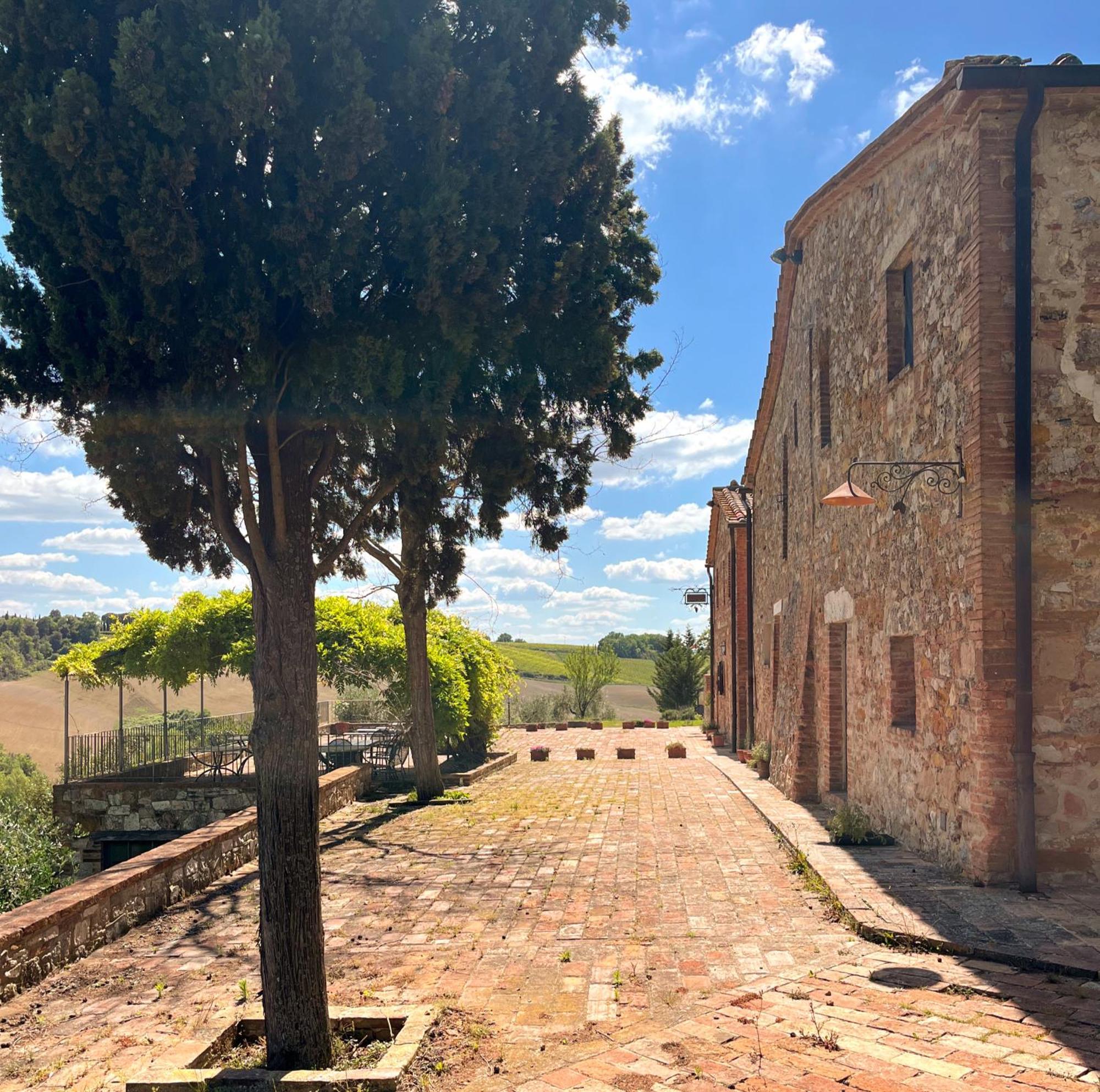 Podere Sole Trequanda Exteriör bild