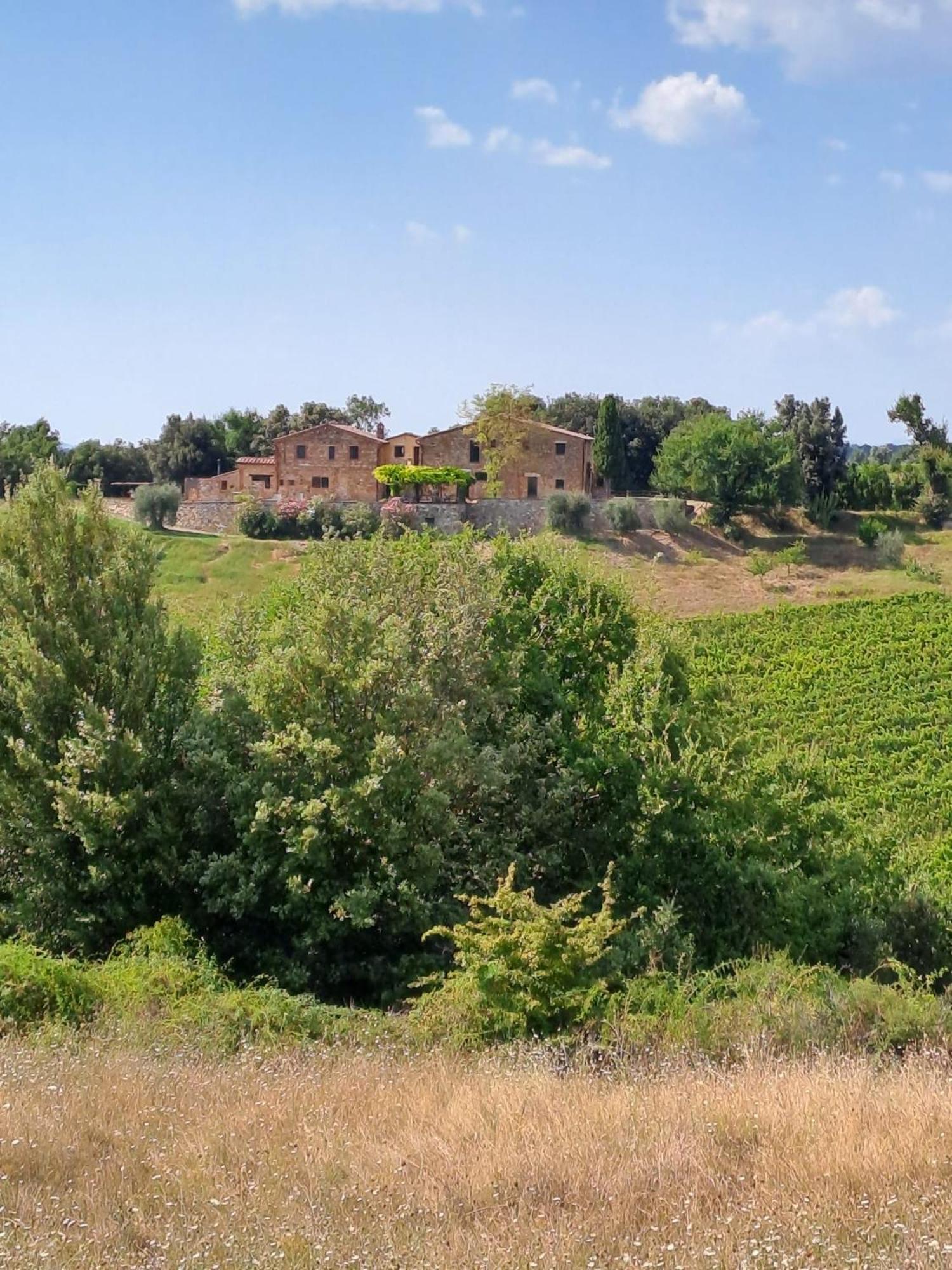 Podere Sole Trequanda Exteriör bild